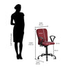 Nilkamal Lusaka Mid Back Office Chair
