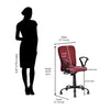 Nilkamal Lusaka Mid Back Office Chair