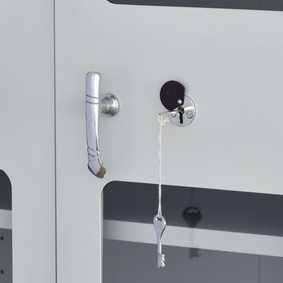 Nilkamal Magna KD Glass Door Office Almira (Grey)