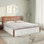 Nilkamal Maple Premier  Bed With Hydraulic Storage (White)
