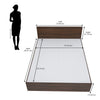 Nilkamal Arthur King Bed (Walnut) - Size In Inches