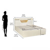 Nilkamal Mirage Queen Bed with Hydraulic Storage (Ivory)