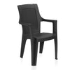 Nilkamal Mystique Plastic Arm Chair (Iron Black)
