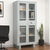 Nilkamal Magna KD Glass Door Office Almira (Grey)