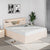 Nilkamal Mirage Queen Bed with Hydraulic Storage (Ivory)