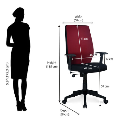 Neelkamal ergonomic chair cheap