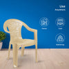 Nilkamal CHR2060 Plastic Arm Chair