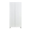 Nilkamal Olympus 2 Door with Mirror  Steel Wardrobe (Voilet / White)