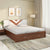 Nilkamal Orion Premier Bed With Full Hydraulic Storage (Walnut)