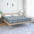 Nilkamal Ortho Comfort 6