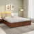 Nilkamal Plush Premier Bed With Full Hydraulic Storage (Walnut)