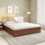 Nilkamal Plush Max Bed With Box Storage (Walnut)