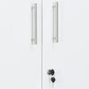 Nilkamal Rafel 2 Metal Door Wardrode (Textured White)
