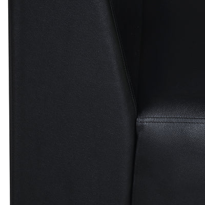 Nilkamal Reed 2 Seater Sofa (Black)