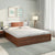 Nilkamal Slew Premier  Bed With Full Hydraulic Storage (Walnut)