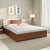 Nilkamal Slew Bed With Box Storage (Walnut)