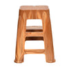 Nilkamal Plastic Step Stool