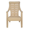 Nilkamal Sunday Plastic Arm Chair