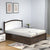 Nilkamal Salsa Queen Bed (Brown)