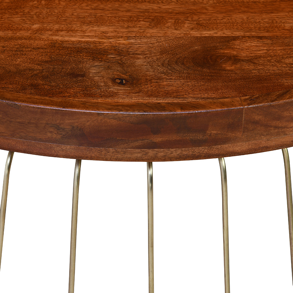 Nilkamal Tamas Coffee Table (Honey Brass)