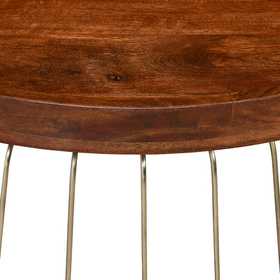 Nilkamal Tamas Coffee Table (Honey Brass)