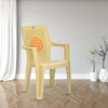 Nilkamal Globe Plastic Arm Chair