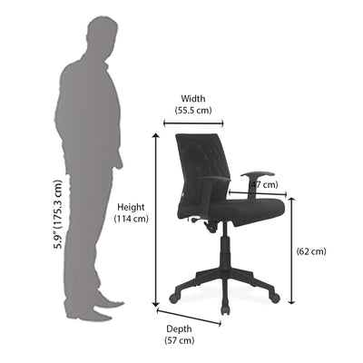 Nilkamal Thames Low Back Mesh Chair (Black)