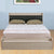 Nilkamal Toya Queen Bed (Beige/Brown)