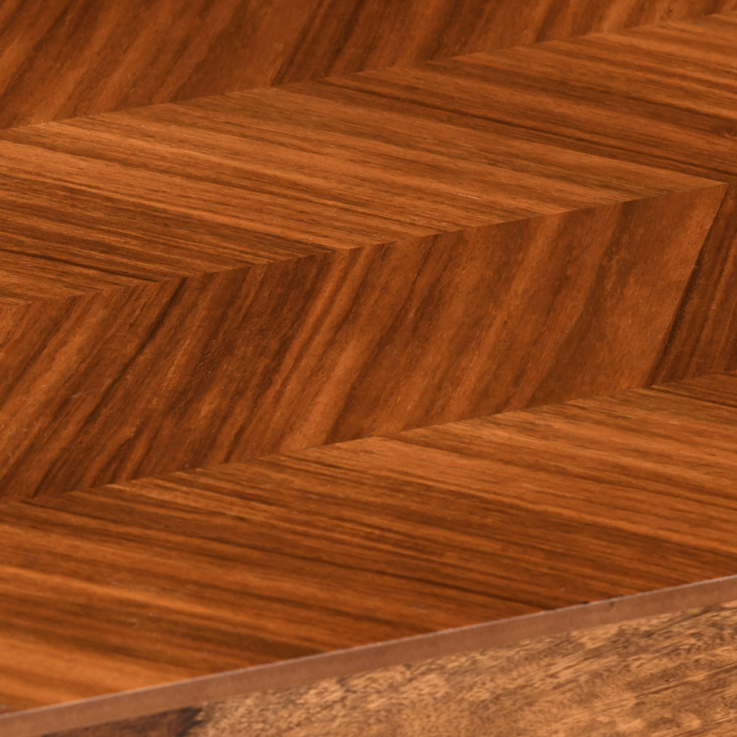 Nilkamal Wonder Multi Use Medium Sitting Bench for Living Room | Dining Room (Honey)