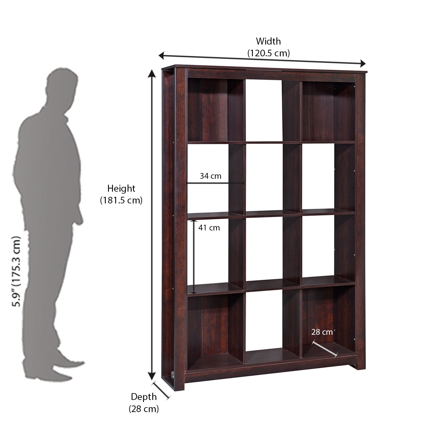 Nilkamal Zeus Book Case