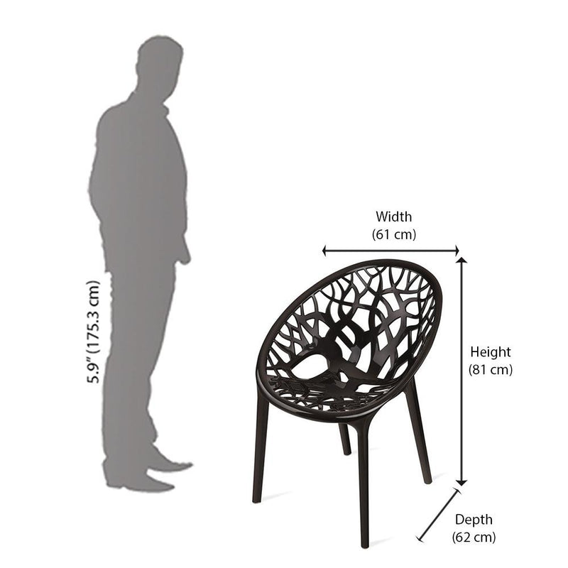 Nilkamal Crystal Polypropylene Chair (Black) Nilkamal Furniture