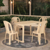 Nilkamal Shahenshah 4 Seater Dining Set - Main View 4